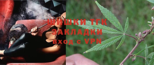 дмт Аркадак