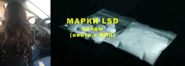 дмт Аркадак