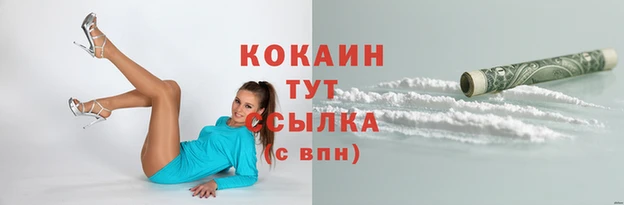 стаф Арсеньев
