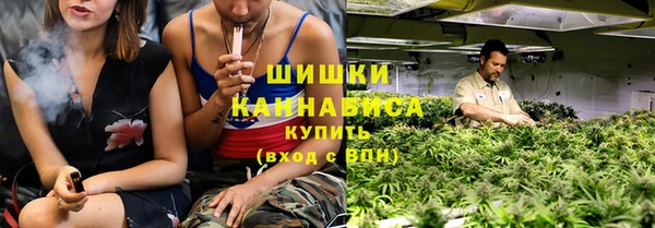 стаф Арсеньев