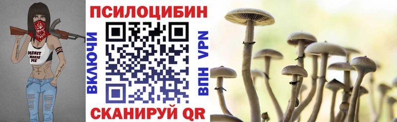 Галлюциногенные грибы Cubensis  Гуково 